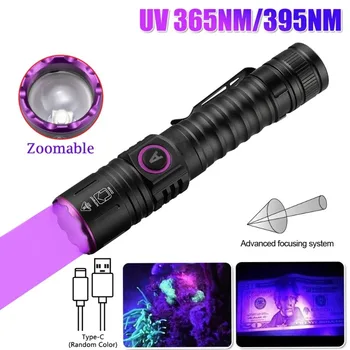 365nm/395nm UV Žibintuvėlis Zoom 5W C Tipo USB Įkrovimo Violetinis Deglas Naminių Kačių ir Šunų Dėmes Šlapimo Detektorius