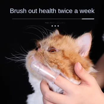 Katė konkrečių šuo toothbrushing įrankį pirštą rinkinys, šepetėlis Teddy pet mažų šunų valymo produktai
