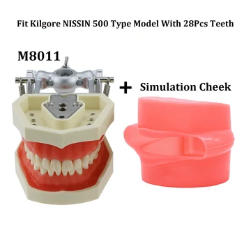 Kilgore Nissin 500 Modelis Pritaikymas Dantų įsukimo 28Pcs Dantų Modelio M8011 Pildymo Typodont įprastas Tyrimas + Modeliavimas Skruosto